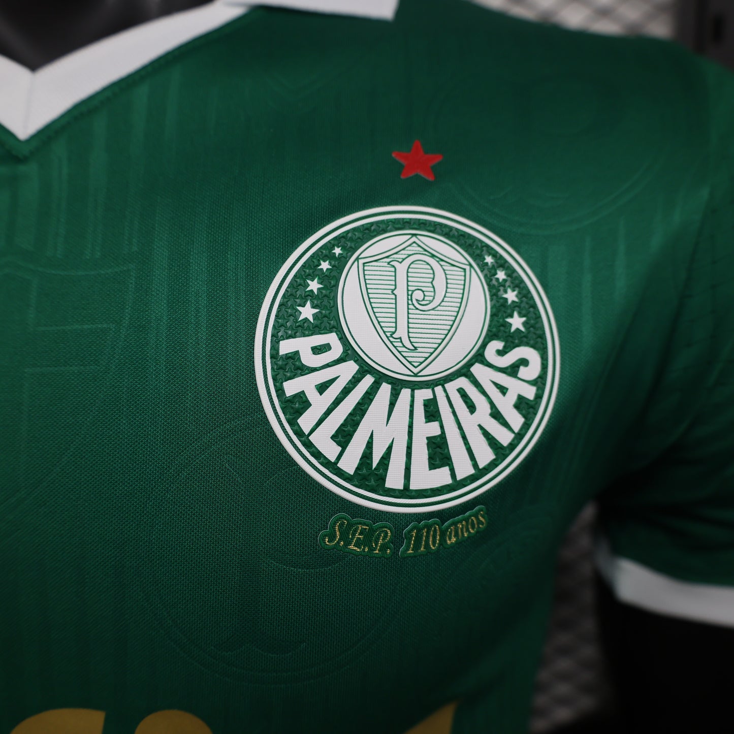 Palmeiras Player Version Home 24/25