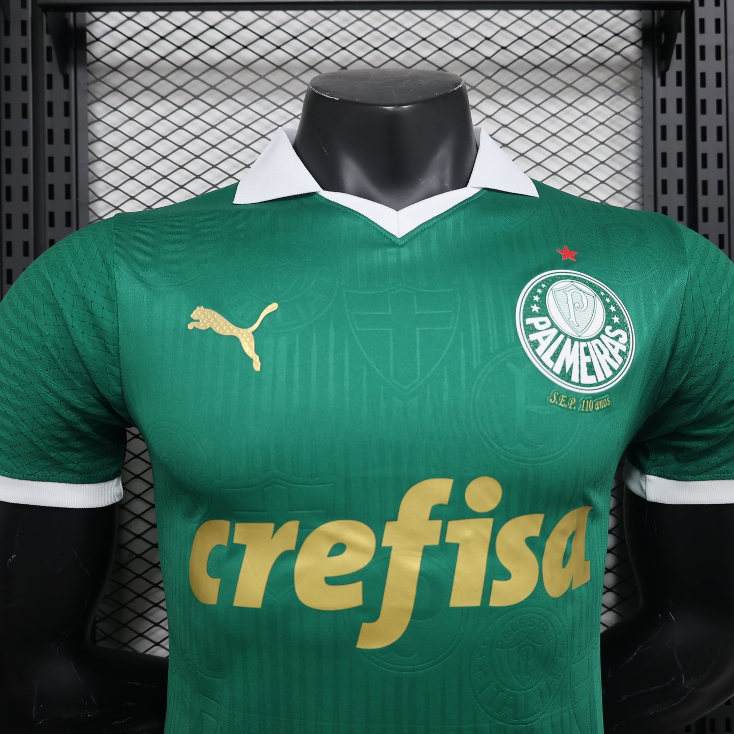 Palmeiras Player Version Home 24/25